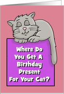 Birthday Card For A Cat Where Do You Get A Present For Cat card