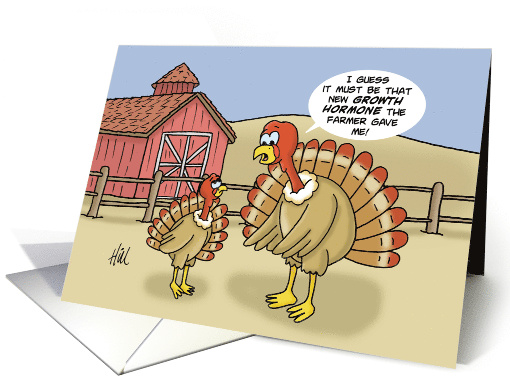 Thanksgiving Card With Two Turkeys One Of Them Is Huge card (1548284)