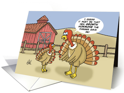 Humorous Blank Note Card With Two Turkeys One Of Them Is Huge card