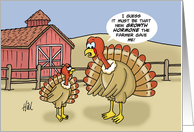Humorous Blank Note Card With Two Turkeys One Of Them Is Huge card