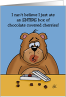 Blank Note Card With Bear Eating Box Of Chocolate Covered Cherries card