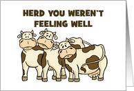 Humorous Get Well Card With Cows Herd You Weren’t Feeling Well card