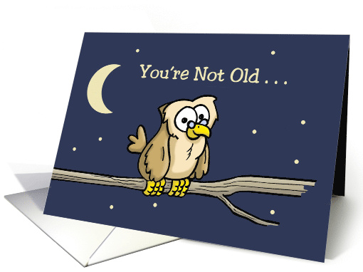 Getting Older Birthday Card With Owl 29 Plus Shipping And... (1552164)