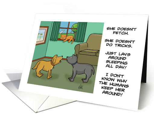 Blank Note Card With Cartoon Of Two Dogs Discussing A Cat card