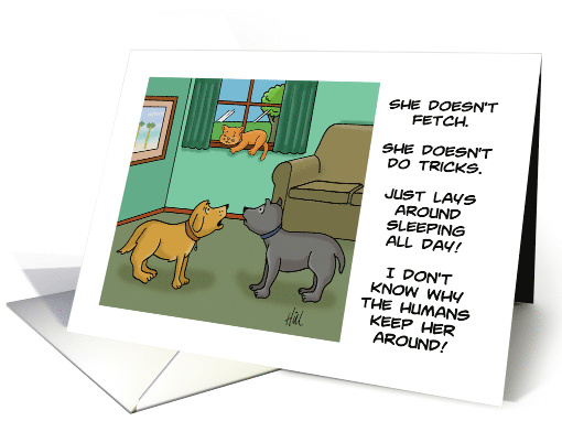 Hug Your Cat Day Card With Cartoon Of Two Dogs Discussing A Cat card