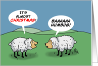 Humbug Day Card With Cartoon Of Two Sheep Baaaaa Humbug! card