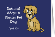 National Adopt a Shelter Pet Day Card With A Crying Cartoon Dog card