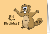 Humorous Birthday Card With Cartoon Beaver It’s Your Birthday card