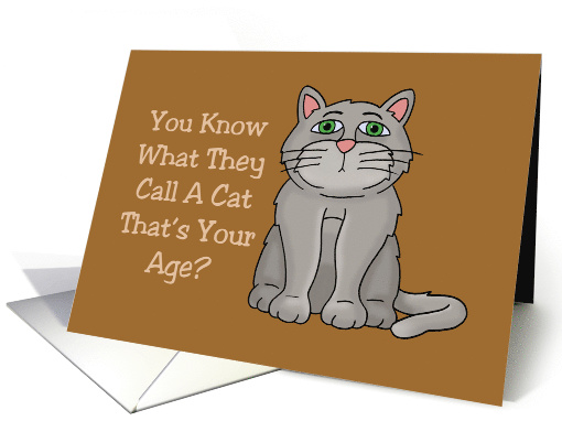 Humorous Getting Older Birthday Card With Cartoon Cat card (1571900)