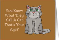 Humorous Getting Older Birthday Card With Cartoon Cat card