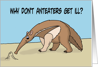 Funny Get Well Card Why Don’t Anteaters Get Ill? card