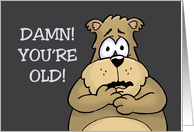 Humorous Birthday Card With Cartoon Bear Damn! You’re Old! card