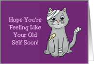 Get Well Card For Accident With Bandaged Cartoon Cat Old Self Soon card