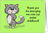 Rude Birthday Card For Brother Thanks For Annoying Me card