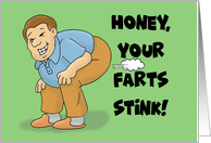 Anniversary Card For Husband, Honey, Your Farts Stink! card