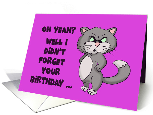Belated Birthday Card With Angry Cat I Didn't Forget Your... (1578670)