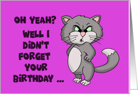 Belated Birthday Card With Angry Cat I Didn’t Forget Your Birthday card