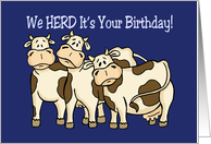 Humorous Birthday Card With Cows We Herd It’s Your Birthday card