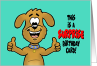 Humorous Birthday Card With Cartoon Dog Surprise Birthday card