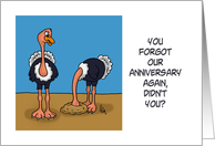 Humorous Blank Note Card With Ostriches Forgot Anniversary card