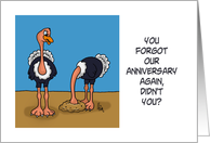 Humorous Anniversary...