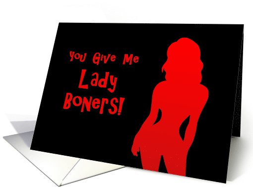 Adult Valentine Card You Give Me Lady Boners With Sexy Silhouette card