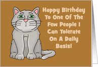 Birthday Card From The Cat One Of The Few People I Can Tolerate card