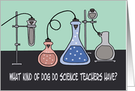 Teacher Appreciation Day Card For A Science Teacher What Kind Of Dog card