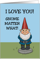 Blank Card With Garden Gnome I Love You Gnome Matter What card