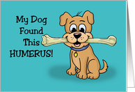 Humorous Friendship Card With Cartoon My Dog Found This Humerus card
