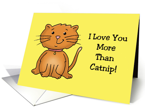 Cute Valentine Card From The Cat I Love You More Than Catnip! card