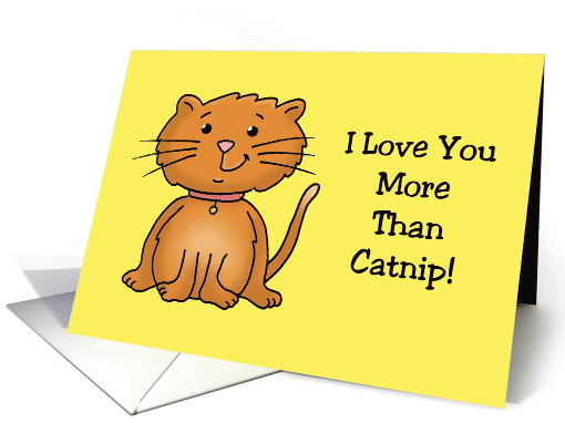 Cute Love Card From The Cat I Love You More Than Catnip! card