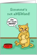 Humorous Hello Card With Angry Cat Someone’s Not AMEWsed card