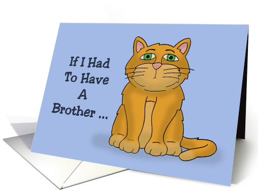 Humorous Brother's Birthday Card If I Had To Have A Brother card