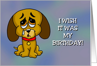 Humorous Birthday Card I Wish It Was My Birthday With Sad Puppy card