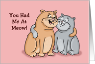 Love, Romance Card With Two Cartoon Cats You Had Me At Meow card
