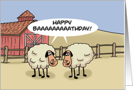 Humorous Birthday Card With Two Cartoon Sheep Happy Baaathday card