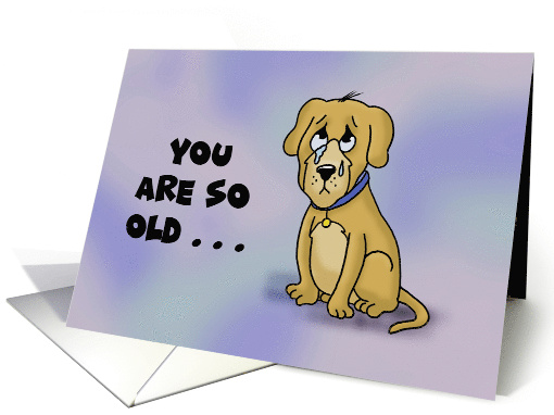 Humorous Birthday Card You Are So Old In Dog Years card (1623872)