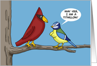 Humorous Adult Blank Note Card With Two Birds I’m A Titwillow card