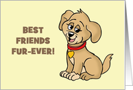 Humorous Blank Note Card With Cartoon Dog Best Friends Fur-Ever card