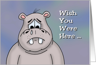 Miss You Card With Cartoon Hippo Wish You Were Here card