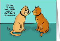 Humorous Birthday Card Why Are There No Cat Days Of Summer? card
