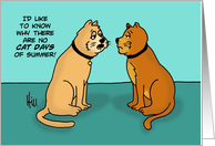 Humorous National Cat Day Card Why Are There No Cat Days Of Summer? card