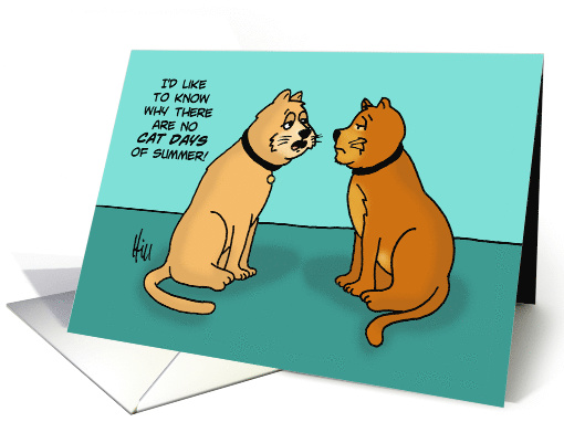 Humorous Blank Card Why Are There No Cat Days Of Summer? card