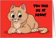 Valentine Card For A Fur Baby Cat With A Cartoon Cat card