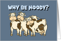 Humorous Friendship With Cartoon Cows Why Be Moody? card