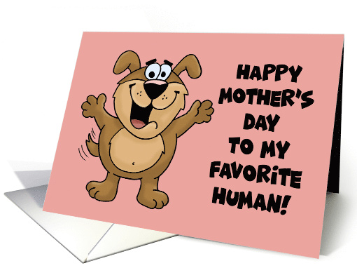 Cute Mother's Day Card From The Dog To My Favorite Human card