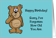 Humorous Birthday With Cartoon Bear I’ve Forgotten How Old You Are card