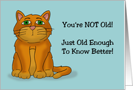 Humorous Birthday You’re Not Old Just Old Enough To Know Better card