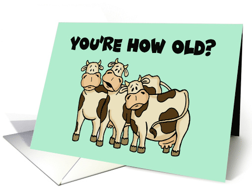 Humorous Birthday With Cartoon Cows You're How Old Holy Cow card